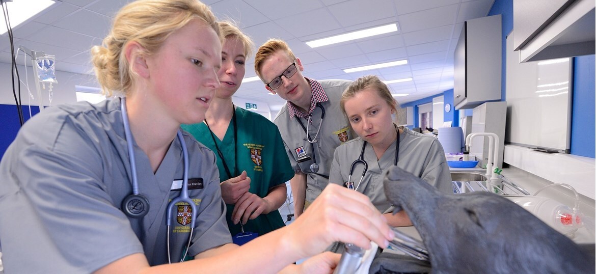 University of Cambridge Veterinary School Trust