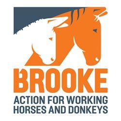 The Brooke Hospital for Animals