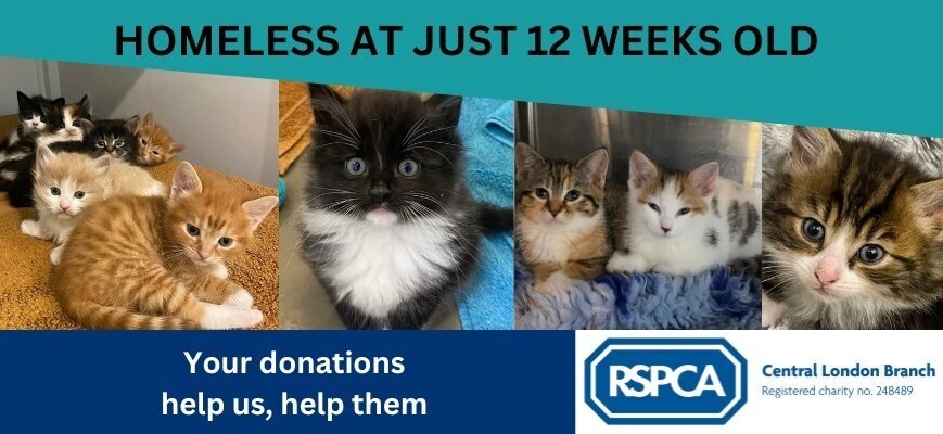 RSPCA Central London Branch