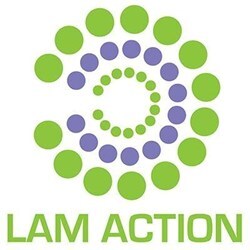 LAM Action